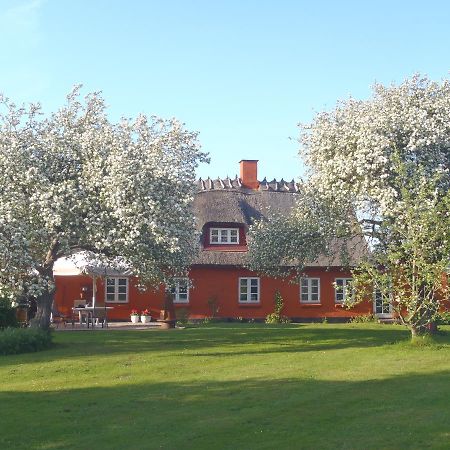 Bed and Breakfast Soegaardensbb Stenlose Экстерьер фото