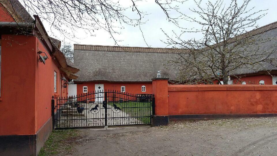 Bed and Breakfast Soegaardensbb Stenlose Экстерьер фото