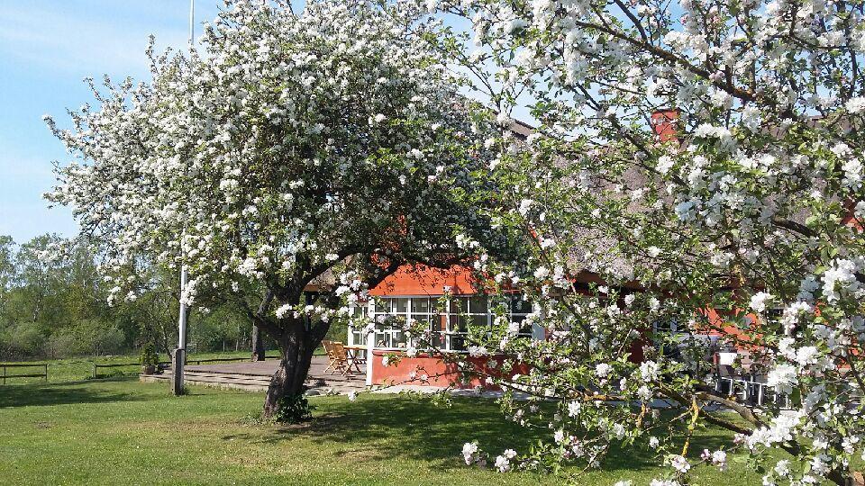Bed and Breakfast Soegaardensbb Stenlose Экстерьер фото