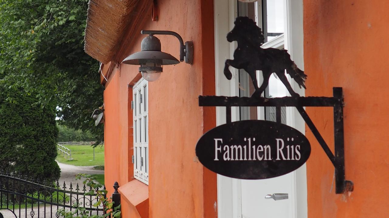 Bed and Breakfast Soegaardensbb Stenlose Экстерьер фото