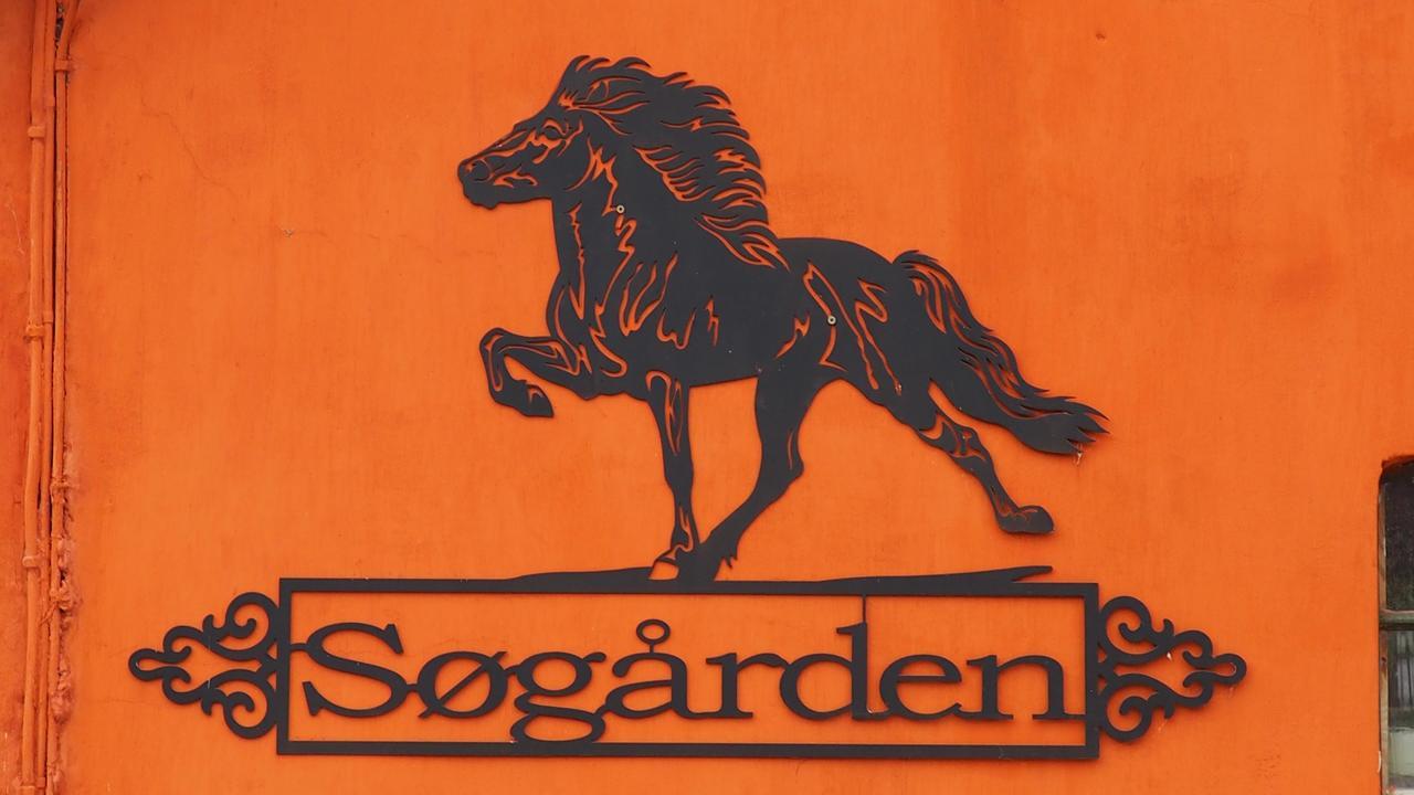 Bed and Breakfast Soegaardensbb Stenlose Экстерьер фото