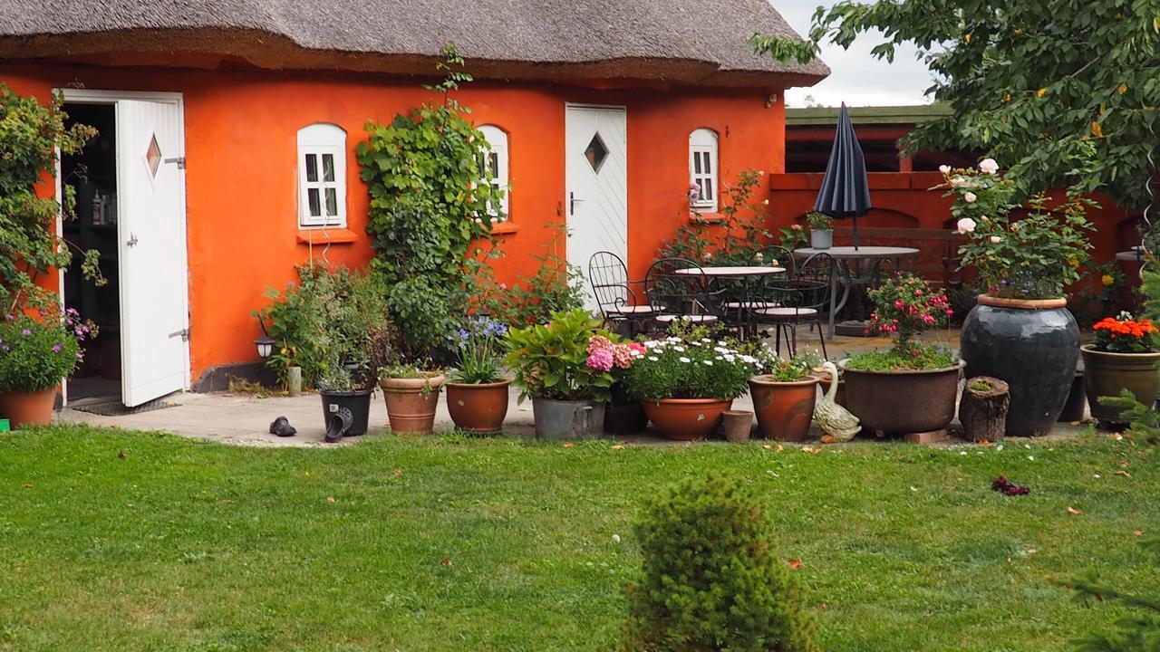 Bed and Breakfast Soegaardensbb Stenlose Экстерьер фото
