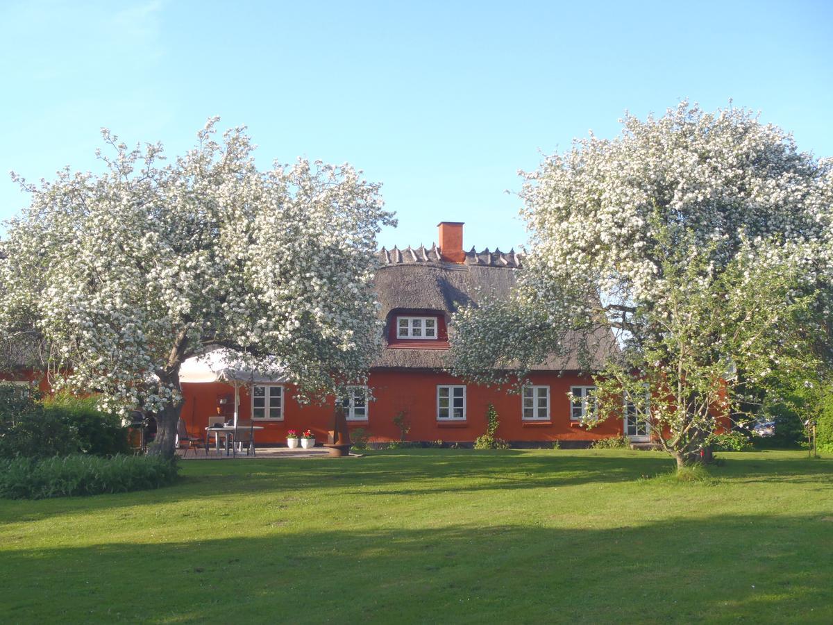 Bed and Breakfast Soegaardensbb Stenlose Экстерьер фото